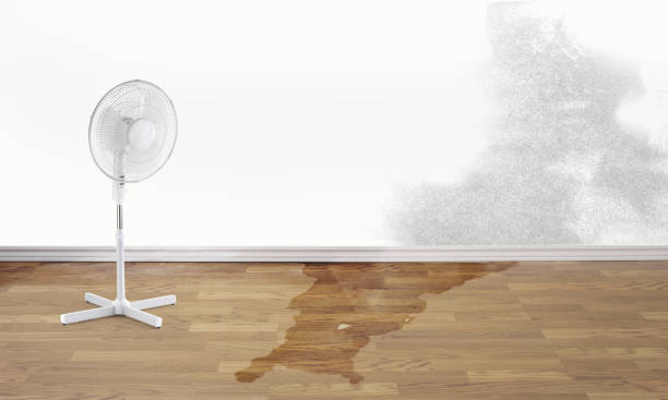 Best Sewage Cleanup and Restoration in Des Moines, IA